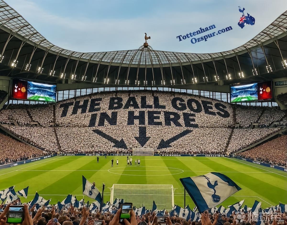 热心网友为热刺设计的TIFO